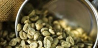 Café Verde Emagrece Mesmo Como Funciona e Dicas.