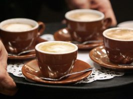 Café ganha gosto de chocolate e caramelo com fungo extraído do próprio grão