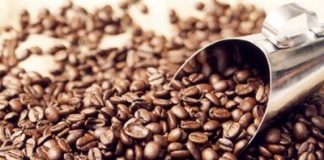 Nova pesquisa norte americana vê mais benefícios do café para saúde