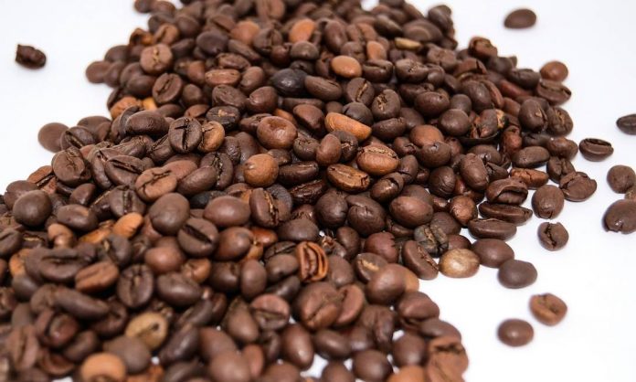Brasil avança na produção de cafés sustentáveis
