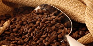 Funcafé disponibiliza recursos para colheita do café