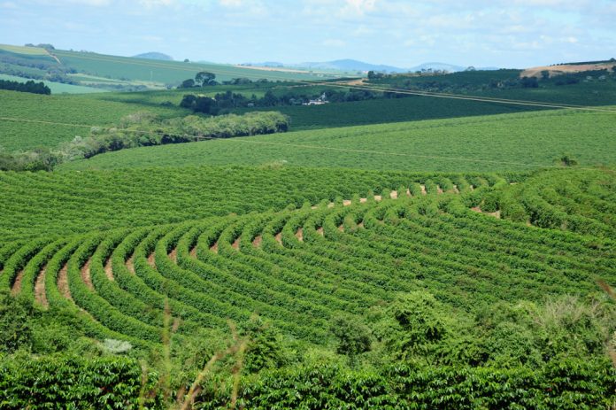 Novo ministro do Desenvolvimento tem raízes na cafeicultura de Minas