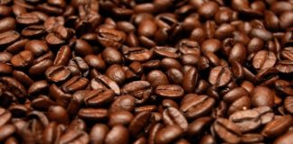 Bahia promove 15º Simpósio Nacional do Agronegócio Café - Agrocafé