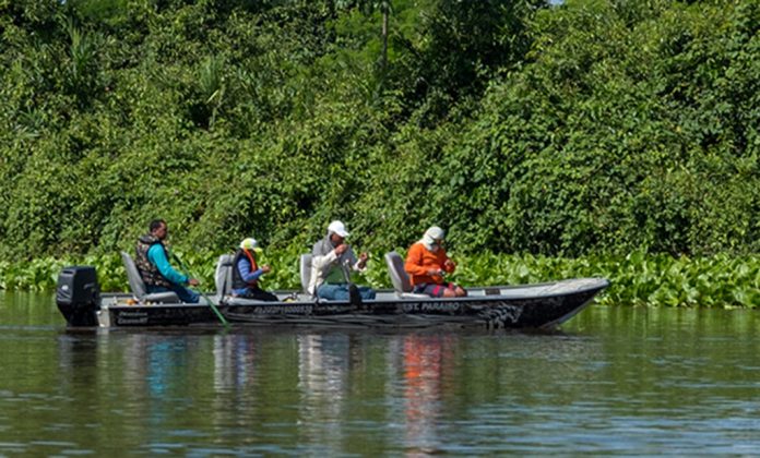 Como pescar de rodada no Pantanal