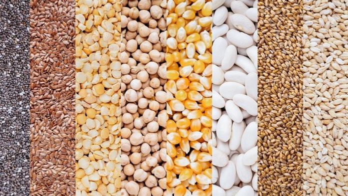 Grãos, sementes e cereais: quais são as diferenças? Entenda cada grupo alimentar