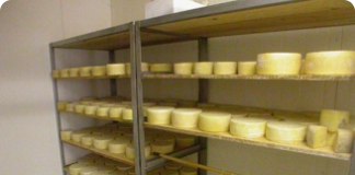 Os desafios da produção caseira e artesanal de queijos