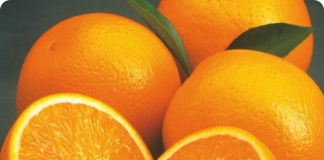 A laranja brasileira