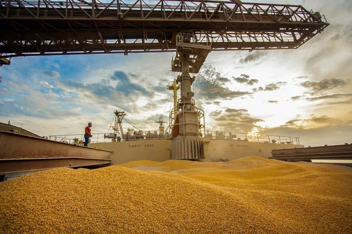 Receita das exportações do agronegócio recuou 9,4% em janeiro