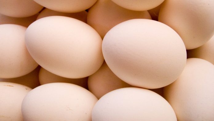 Produção de ovos cresce 4,3%, diz IBGE