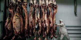 Importação de carne bovina da China deve voltar ao normal só no 2º semestre