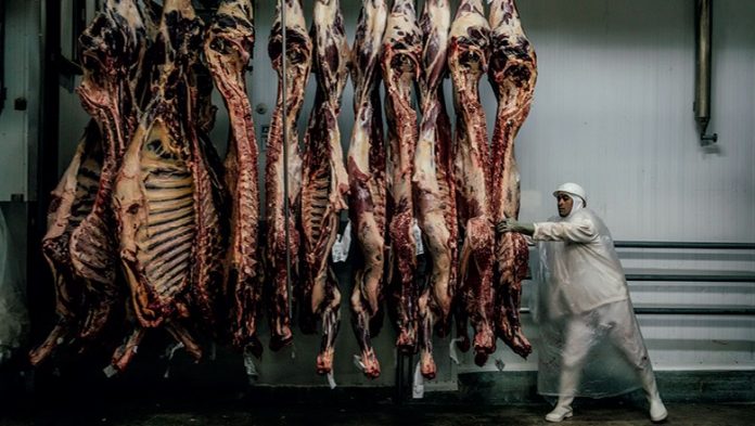 Importação de carne bovina da China deve voltar ao normal só no 2º semestre