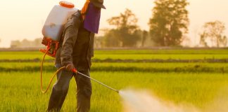 Fim da isenção a agrotóxicos terá impacto de R$ 12 bi ao produtor, diz Ministério da Agricultura
